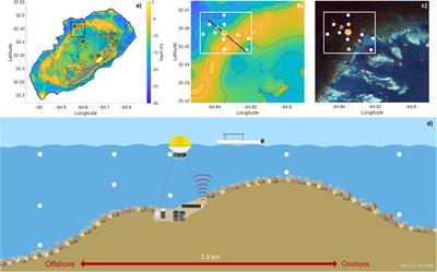 Lateral, Vertical, and Temporal Variability of Seawater Carbonate Chemistry at Hog Reef, Bermuda